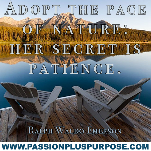 adopt the pace of nature meaning in urdu